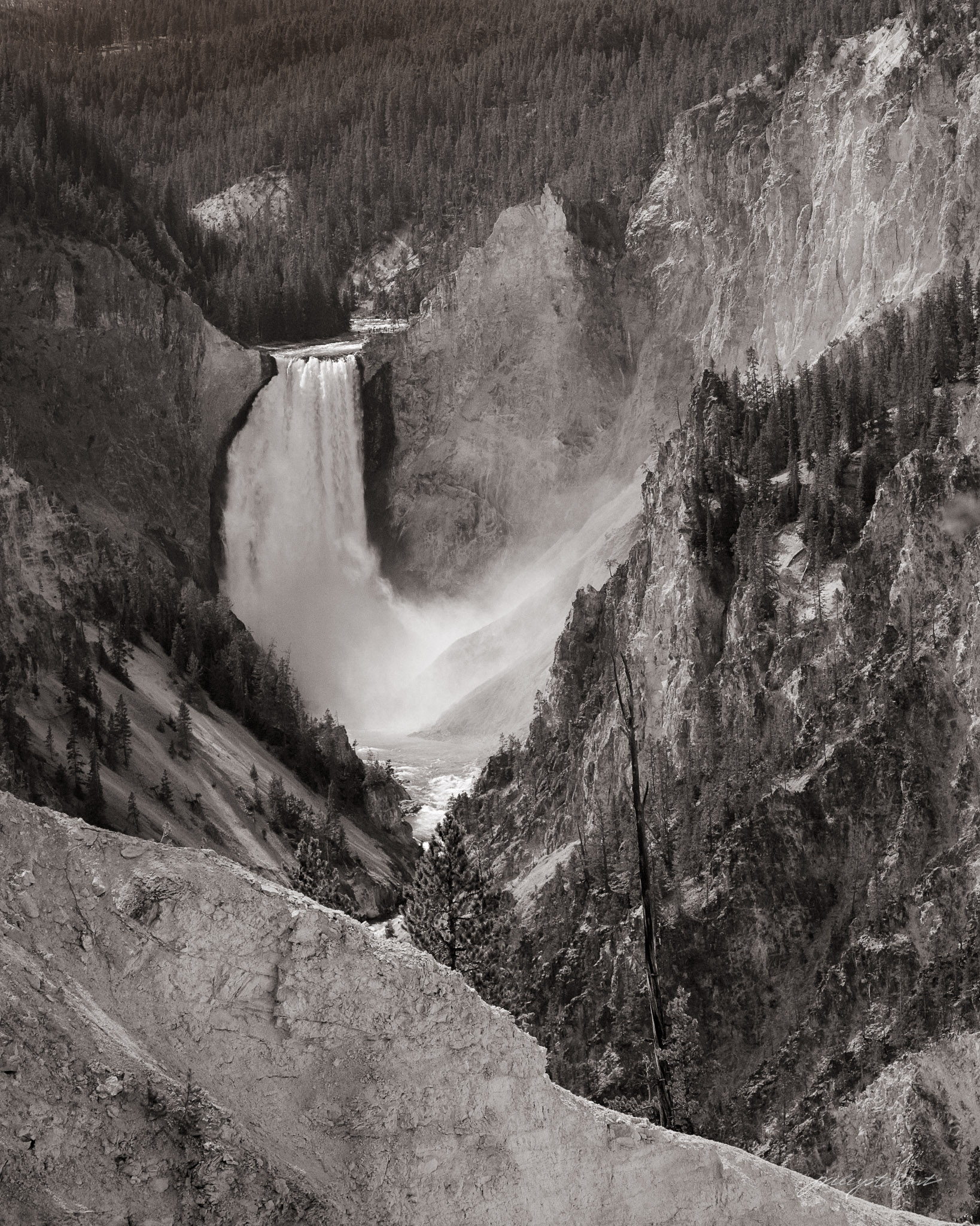 Tones of Yellowstone